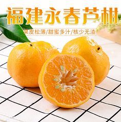 蜜柚、紅心柚與柚子 批發市場的甜蜜商機