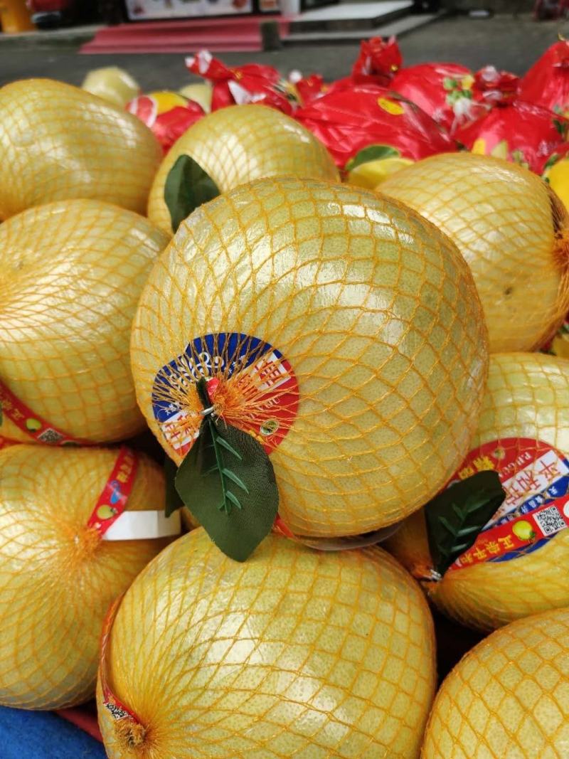 湖北宜昌西陵區(qū)白心蜜柚 產地直供，品質優(yōu)價格美